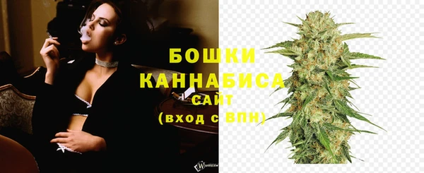 прущий лед Абаза