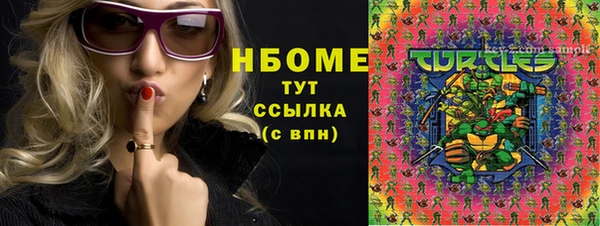 прущий лед Абаза